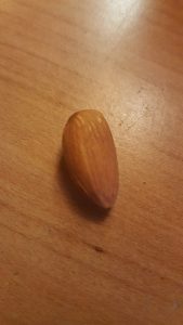 almonds heal psoriasis food