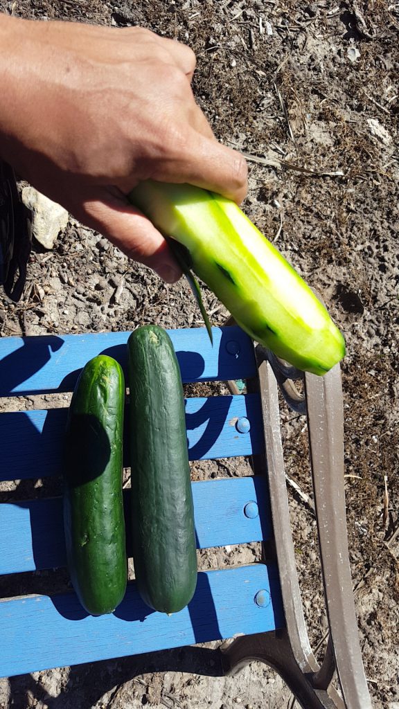 How to Cure Psoriasis With Cucumbers How to Remedy Psoriasis Naturally