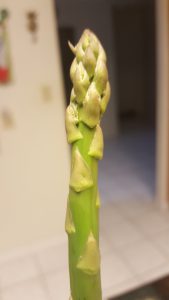 Asparagus-is-one-the-Foods-That-fight-Inflammation-Naturally