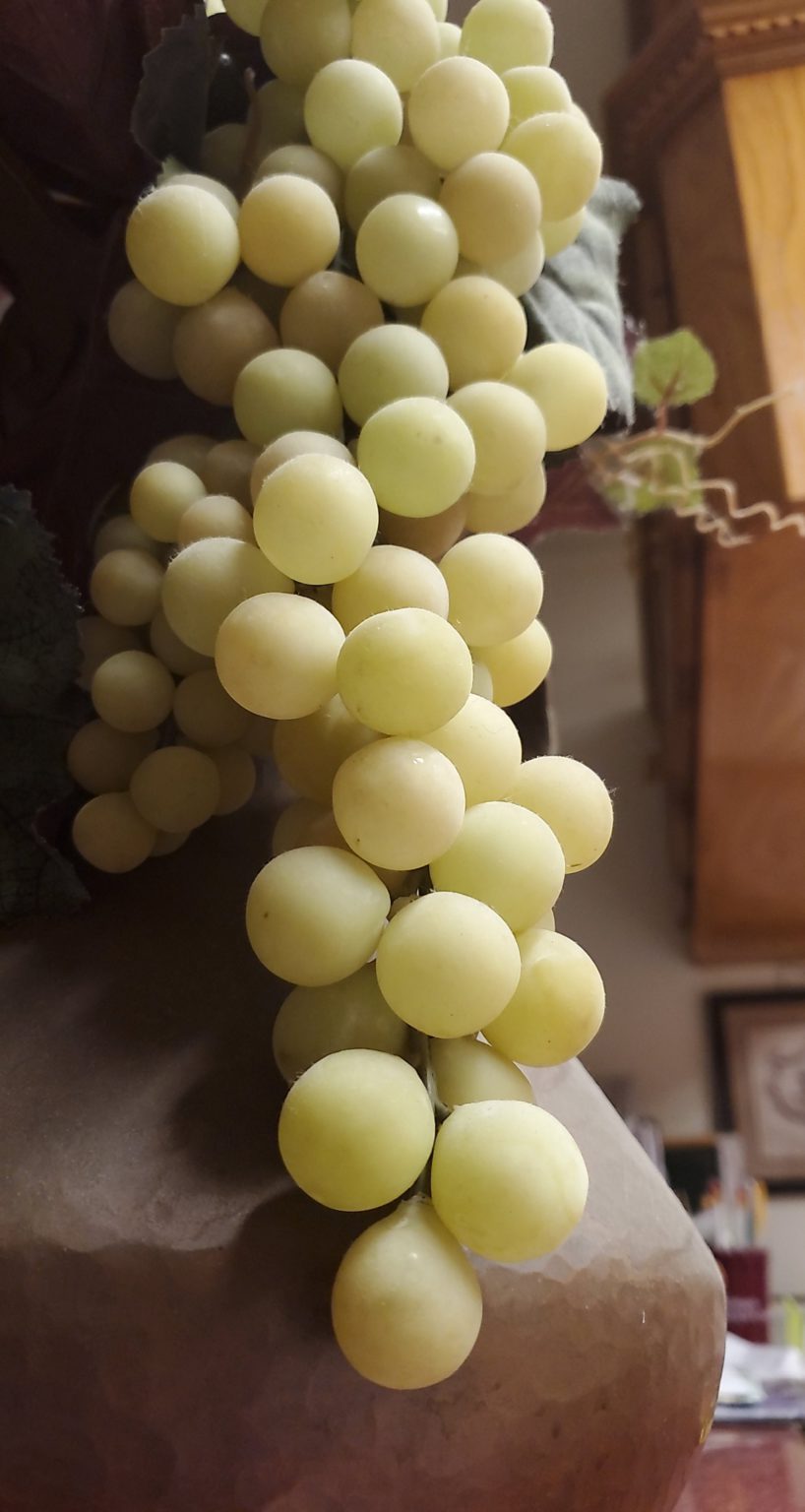 Grapes For Psoriasis Grape Seed Extract For Psoriasis How to Remedy